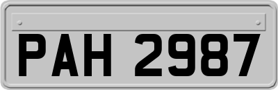 PAH2987