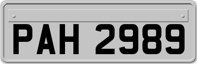 PAH2989