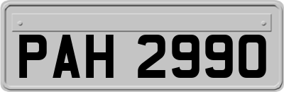 PAH2990