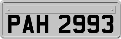 PAH2993