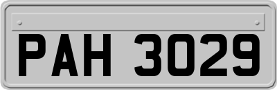 PAH3029