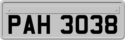 PAH3038