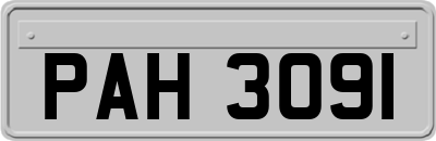 PAH3091