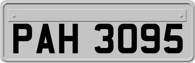 PAH3095