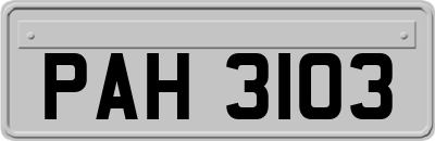 PAH3103