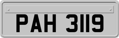 PAH3119