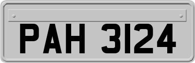 PAH3124