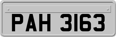 PAH3163
