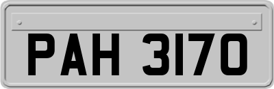 PAH3170
