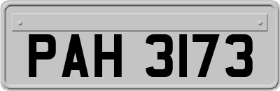 PAH3173