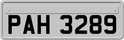 PAH3289