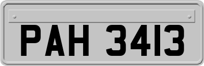 PAH3413