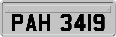 PAH3419