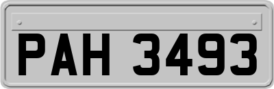 PAH3493