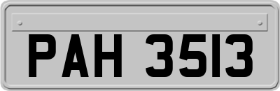 PAH3513