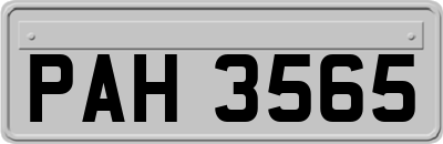 PAH3565