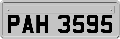 PAH3595