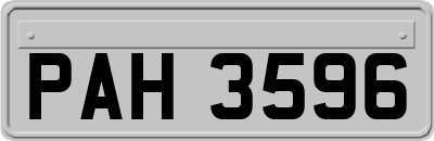 PAH3596