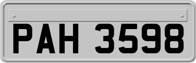 PAH3598
