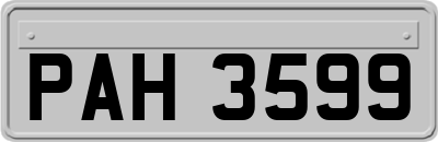PAH3599