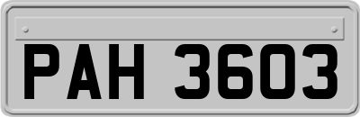 PAH3603