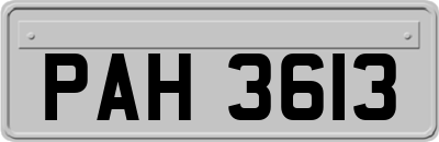 PAH3613