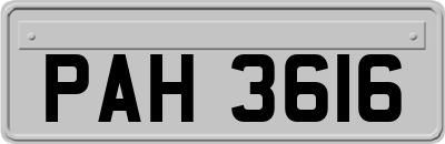 PAH3616