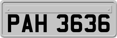 PAH3636