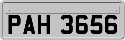 PAH3656