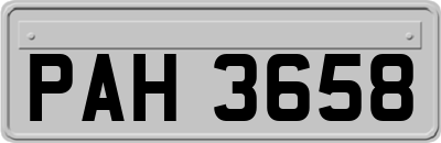 PAH3658