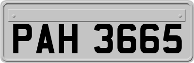 PAH3665
