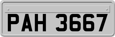 PAH3667