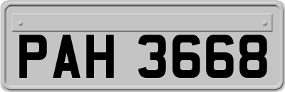 PAH3668