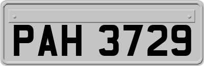 PAH3729