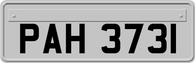PAH3731