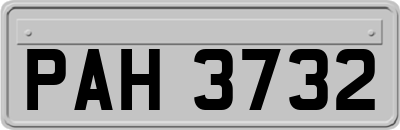 PAH3732