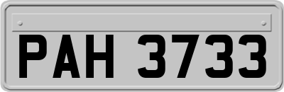PAH3733