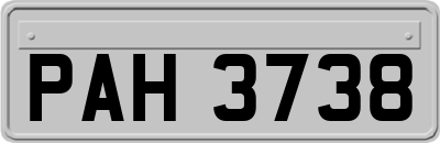 PAH3738