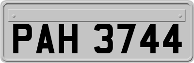 PAH3744