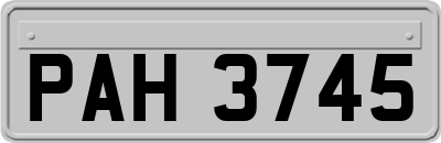 PAH3745