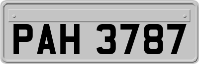 PAH3787