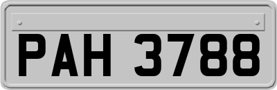 PAH3788