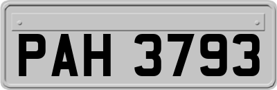 PAH3793