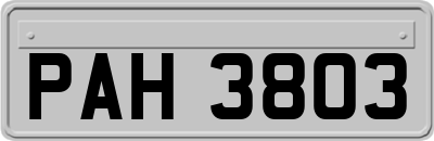 PAH3803