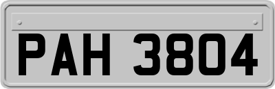 PAH3804