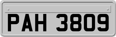 PAH3809