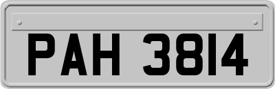 PAH3814