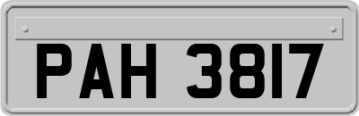 PAH3817