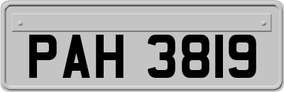 PAH3819