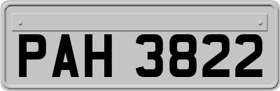 PAH3822